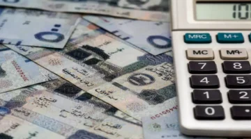 صرف حساب المواطن الدفعة 97 ينتظر ملايين السعوديين في 10 ديسمبر